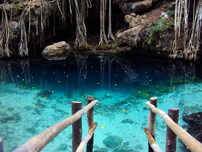 Cenote beauty in Mexico