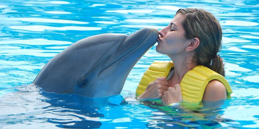 Tourist with dolphin in Cancun
