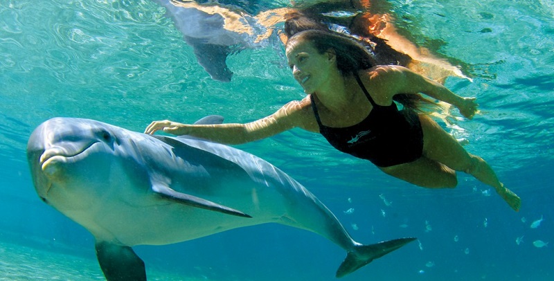 Woman swimming with dolphin in Cancun