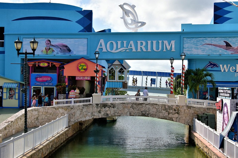 Aquarium at La Isla mall in Cancun