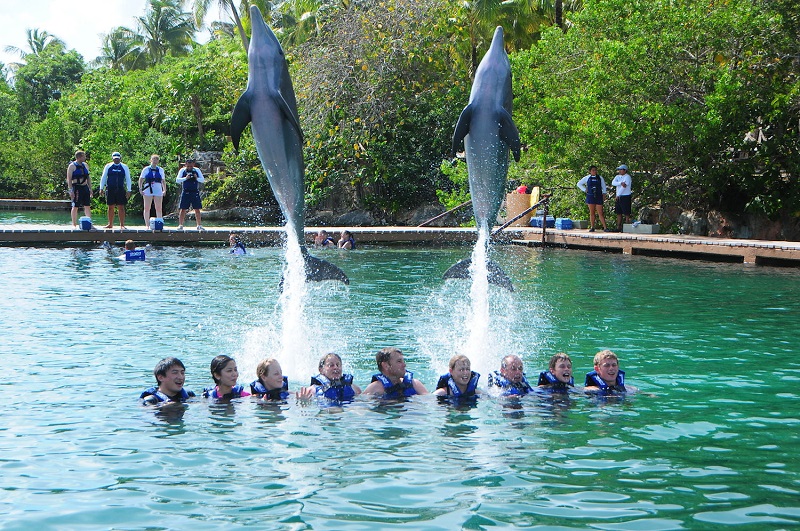 Swim with dolphins at Xel-Há
