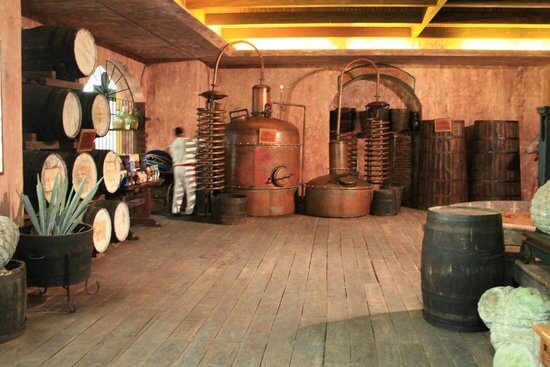 Tour by Tequila Sensory Museum in Cancun