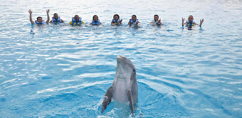 Dolphins at Chankanaab Beach Adventure Park in Cancun