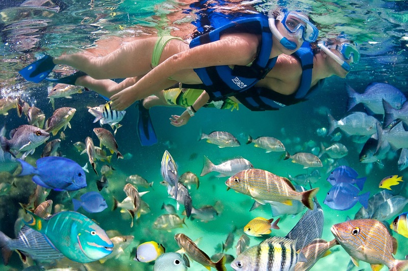 Snorkeling at Xcaret Park in Cancun